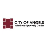 City of Angels Hospital logo