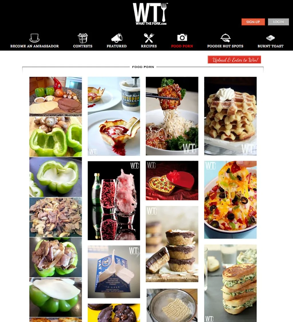 What The Fork — Web Development portfolio work