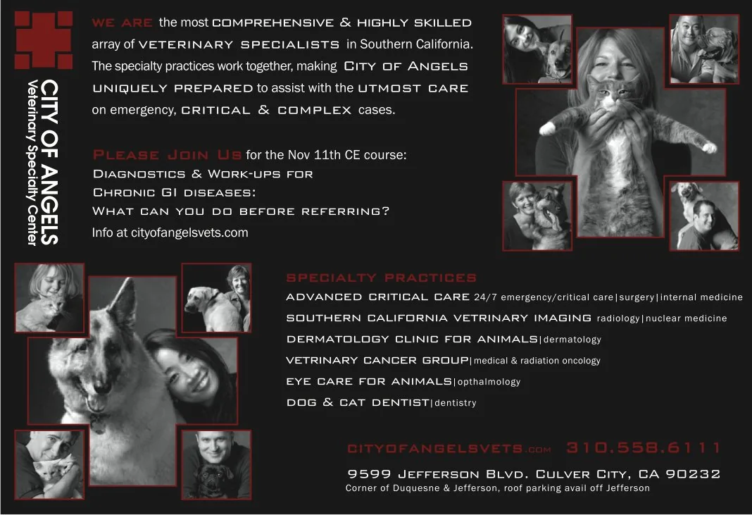 City Of Angels Hospital — Campaigns portfolio work